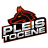 PLEISTOCENE